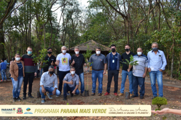 Foto - Programa Paraná Mais Verde