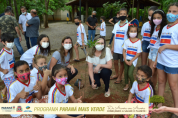 Foto - Programa Paraná Mais Verde - Parte II