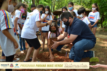 Foto - Programa Paraná Mais Verde - Parte II