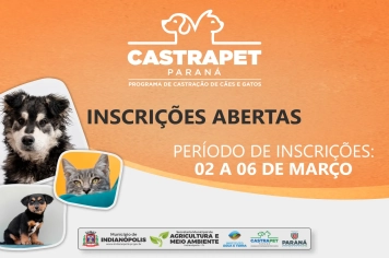 CastraPet abre inscrições para castração gratuita de cães e gatos em Indianópolis